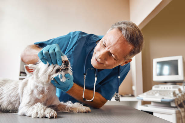 Best 24-Hour Emergency Dentist  in Lake Belvedere Estates, FL